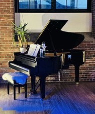 Young chang 213 for sale  Tallahassee