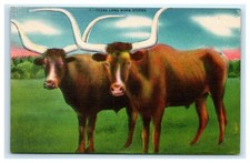 Postcard texas long for sale  Wichita