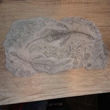 Keichosaurus dinosaurier verst gebraucht kaufen Keichosaurus dinosaurier verst gebraucht kaufen  Bremerhaven