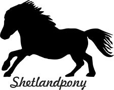 Auto aufkleber shetlandpony gebraucht kaufen  Illertissen