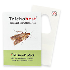 Trichobest schlupfwespen leben gebraucht kaufen  Raisdorf
