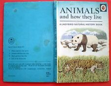 Animals live ladybird for sale  CHICHESTER