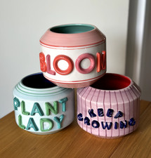 Bloom plant lady for sale  READING