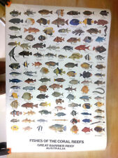 Tropische fische coral gebraucht kaufen  Erlangen