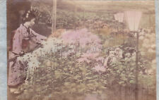Giappone giardinaggio albumina usato  Roma
