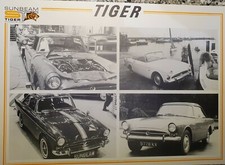 Sunbeam tiger pictures for sale  PULBOROUGH