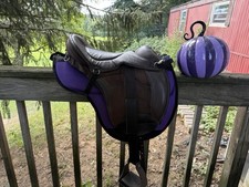 Sensation treeless saddle for sale  Woodstock