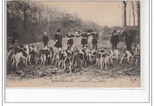 Vouzeron chasse courre d'occasion  France