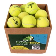 Used tennis balls for sale  South Burlington