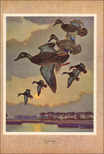 1946 vintage print for sale  Carmel Valley