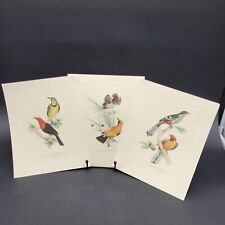 Histoire naturelle oiseaux d'occasion  Expédié en Belgium
