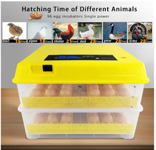 Mini egg incubator for sale  Hemet