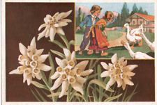 Carte postale fleurs d'occasion  Vichy