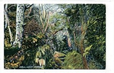 fairy dell for sale fairy dell for sale CUMNOCK