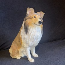 Banbury mint sheltie for sale Banbury mint sheltie for sale  BISHOP'S STORTFORD