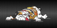 Guido dog decal for sale  SAFFRON WALDEN