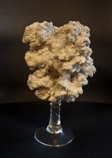 Corail blanc soclé. d'occasion  Vannes