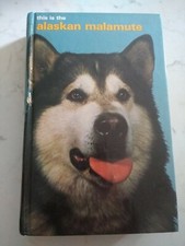 alaskan malamute for sale alaskan malamute for sale BANGOR