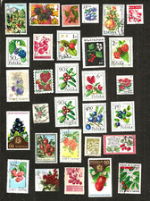 Lot timbres baies d'occasion  L'Isle-Adam