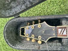 Aria pro hollow for sale  ASHFORD