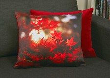 Satin velvet picture for sale  UK