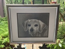 Labrador dog portrait for sale  Houston