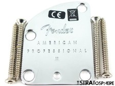 American fender professional for sale  Exeter