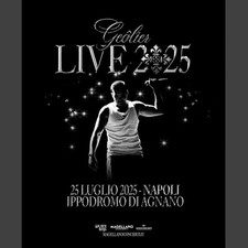 Biglietto concerto geolier usato  Castellammare di Stabia