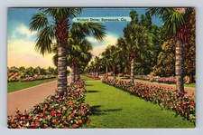 Cartão postal vintage Savannah GA-Geórgia, Palm Tree & Palmetto forrado Victory Drive comprar usado  Enviando para Brazil