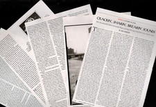 Bob dylan files for sale  Carriere