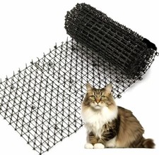 cat scat for sale cat scat for sale Porterville