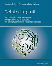 Libri valeria marigo usato  Italia