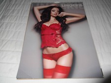 Lingerie girls calendar for sale  EXETER