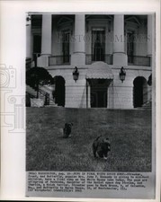 1963 wire photo for sale  Memphis