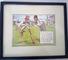 Laws cricket chas for sale  PETERBOROUGH