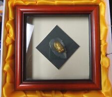 Beautiful chinese cicada for sale  Bridgeport