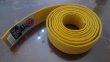 Daedo cintura karate usato  Ferrara