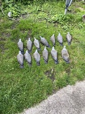 Vintage rubber decoy for sale Vintage rubber decoy for sale  NEWMARKET