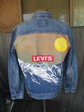 peinture levis d'occasion peinture levis d'occasion Expédié en Belgium