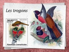 Trogons trogon tropical for sale  PONTYPRIDD