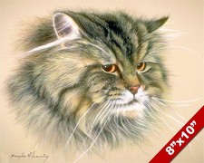 Siberian cat cute for sale  South Jordan