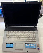 Sony vaio pcg usato  Palermo