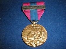 Medaille defense nationale d'occasion  Luçon