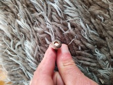 Hudora wheel roller gebraucht kaufen  Heidelberg