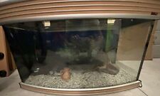 Acquario dimensioni 85x50x40 usato  Limbiate
