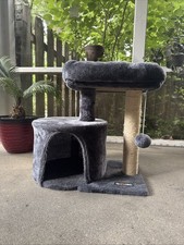trees cat for sale  Indianapolis