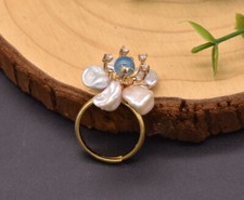 D17 ring blüte gebraucht kaufen  Mörfelden-Walldorf