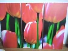 Tulpen bild 3tlg gebraucht kaufen  Berg