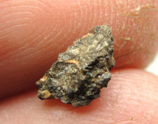 Nwa 13334 achondrite for sale  Hebron