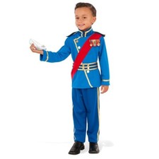 Cosplay Príncipe Encantado Azul Real Fantasia Infantil Halloween Rei Senhor Ternos Meninos comprar usado  Enviando para Brazil